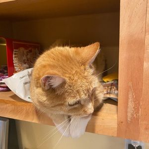 Meet your Posher, Chao